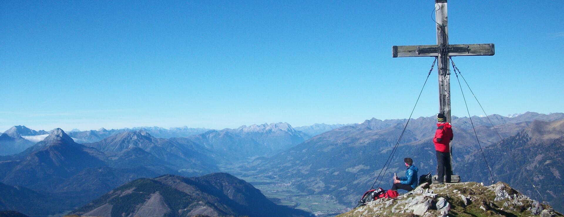 AlpenverreinSteinnelke