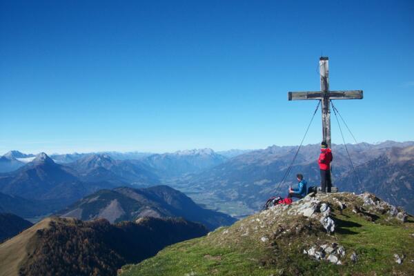 AlpenverreinSteinnelke