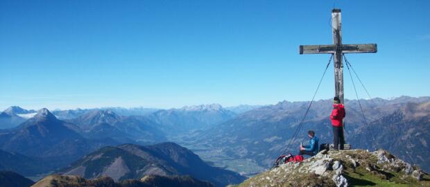 AlpenverreinSteinnelke