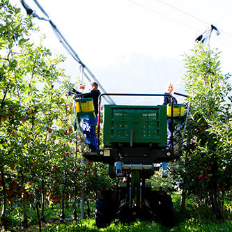 landwirtschaft2