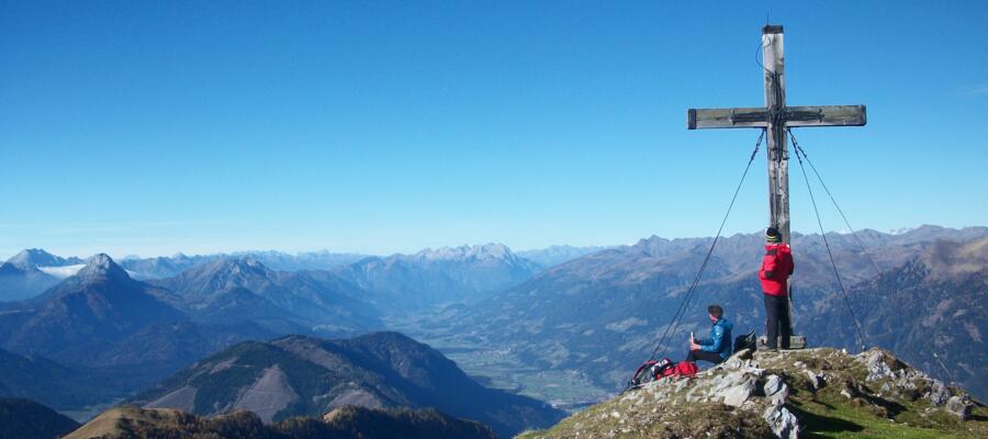 AlpenverreinSteinnelke
